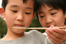 きのくに子どもの村小学校